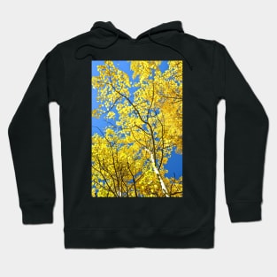 Golden Aspen Leaves in Colorado Fall Mountains Hoodie